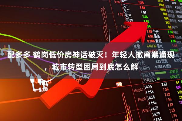 配多多 鹤岗低价房神话破灭！年轻人撤离潮涌现，城市转型困局到底怎么解